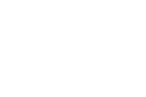 Barbe de Papa